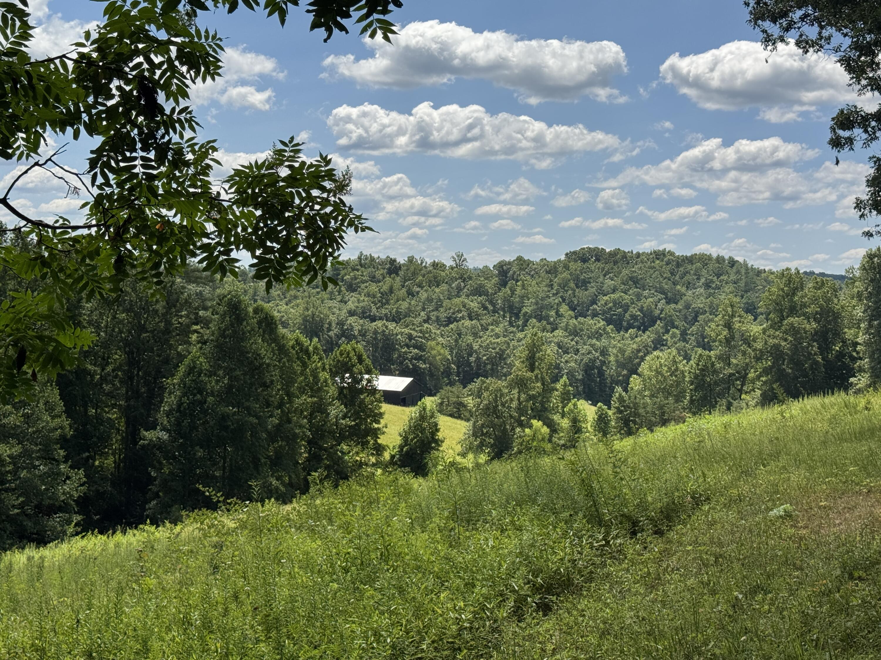 256 Calaboose-Rocky Branch Road Campton, KY 41301 - Photo 17 of 44 IMG_5640