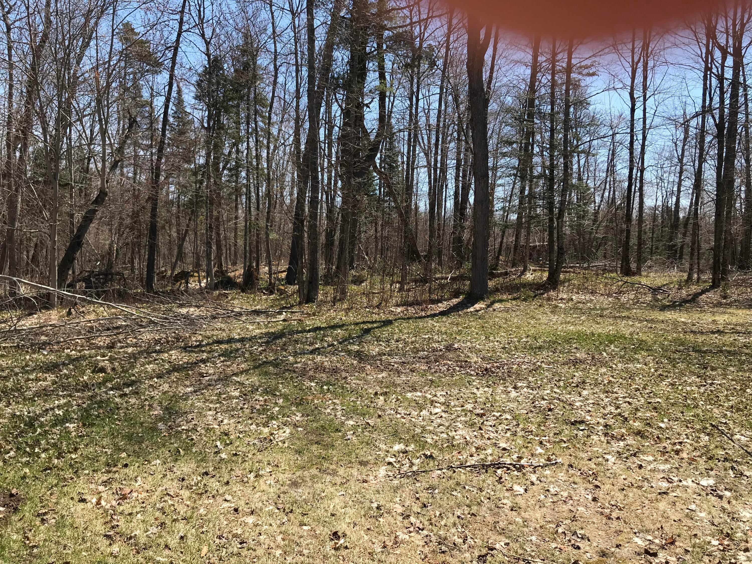 20155 South Roe Road Dafter, MI 49724 - Photo 19 of 19 Gallery Image 19