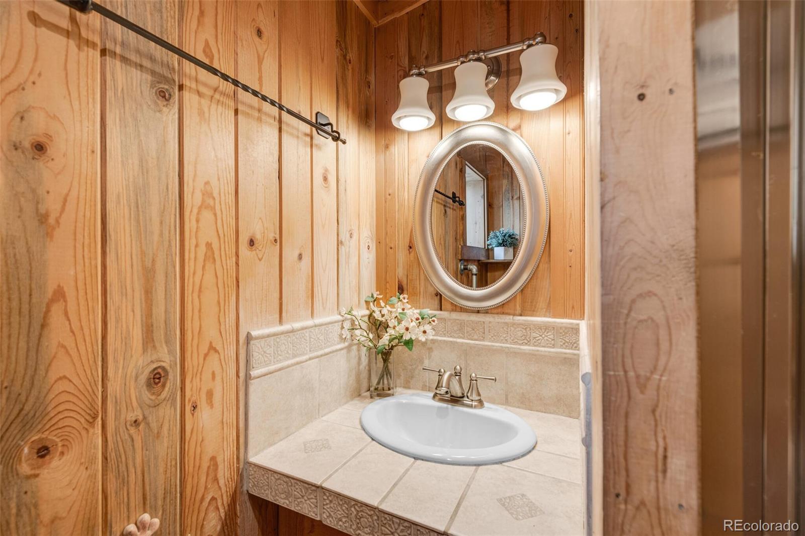 178 Gold Flake Terrace Bailey, CO 80421 - Photo 18 of 47