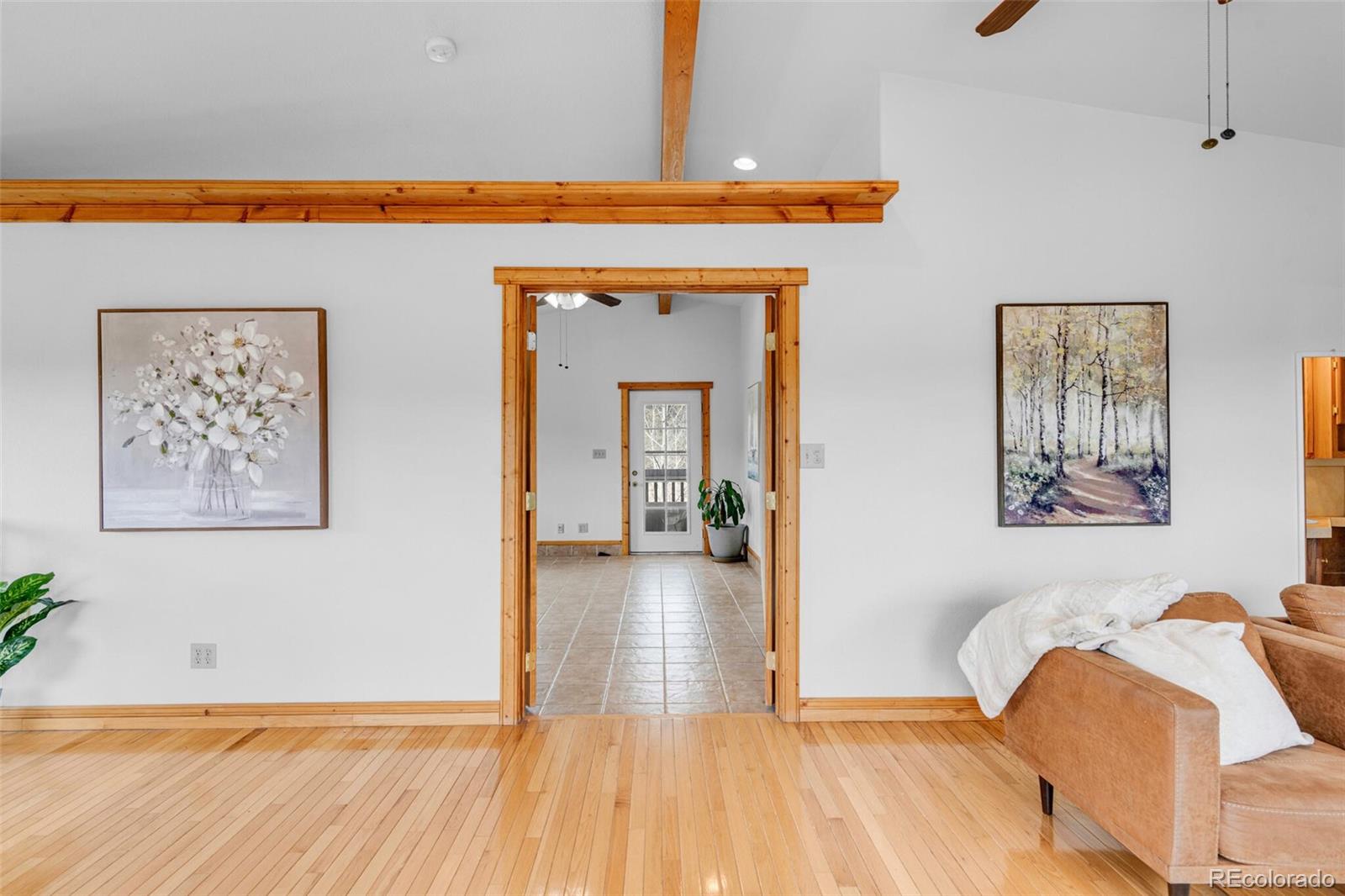 178 Gold Flake Terrace Bailey, CO 80421 - Photo 28 of 47