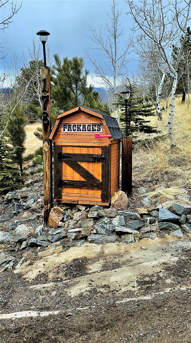 178 Gold Flake Terrace Bailey, CO 80421 - Photo 46 of 47