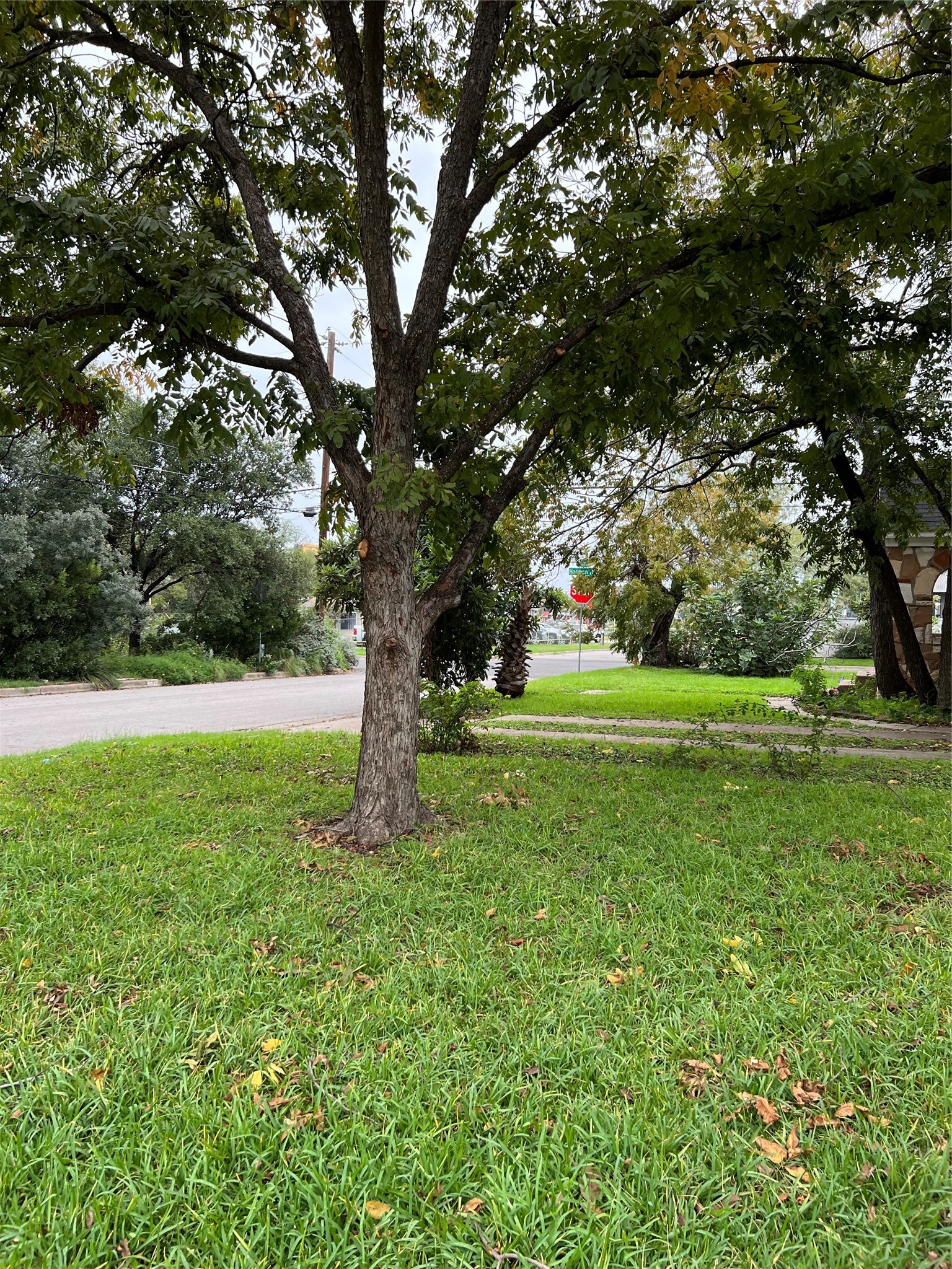 941 East 52nd Street Austin, TX 78751 - Photo 5 of 26 a view of field with trees in the background
