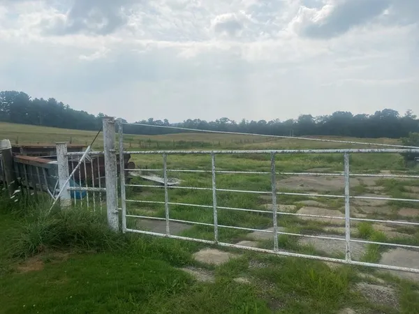 a view of a lake and a yard