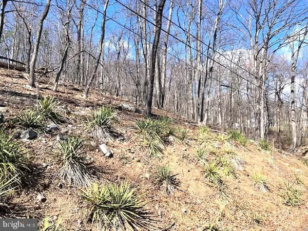 $12,500 | 0 Hawk Trail, Winchester, VA 22602