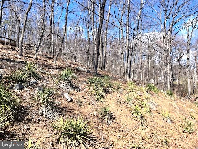 0 Hawk Trail Winchester, VA 22602 - Photo 8 of 12 Lot 155 on Hawk Trail