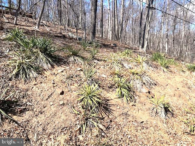 0 Hawk Trail Winchester, VA 22602 - Photo 9 of 12 Lot 155