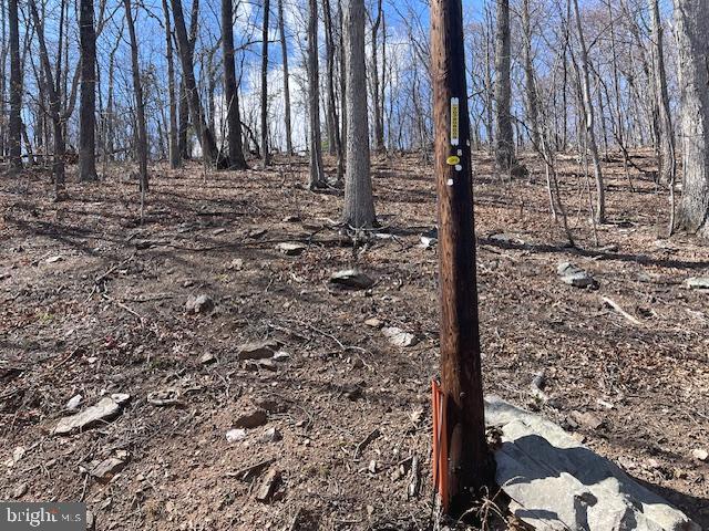 0 Hawk Trail Winchester, VA 22602 - Photo 10 of 12 Lot 155