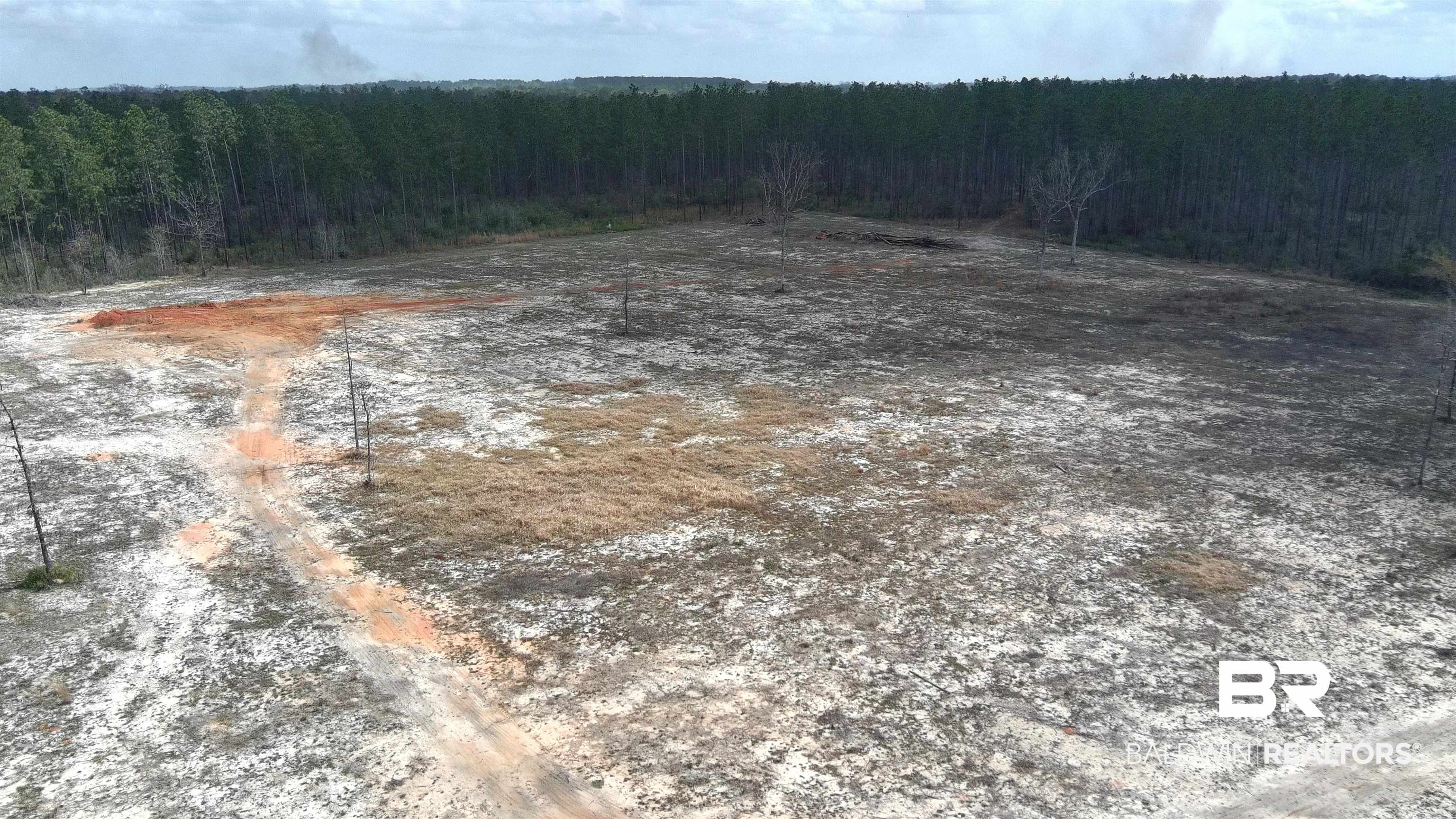 0 Paul Road Bay Minette, AL 36507 - Photo 6 of 19 View from Northwest Corner of cleared 5 acres