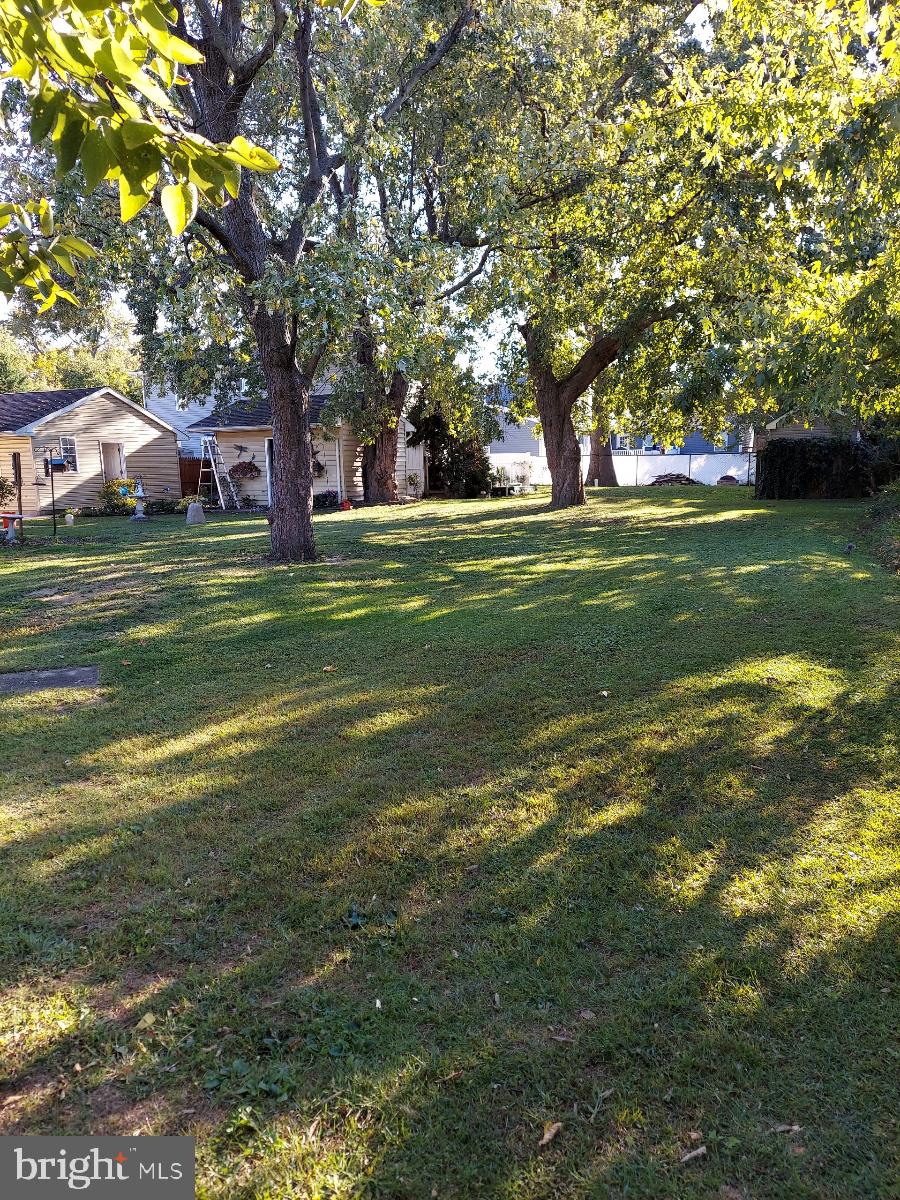 7808 Harbor Road Pasadena, MD 21122 - Photo 52 of 55 Beautiful gardens and landscaping