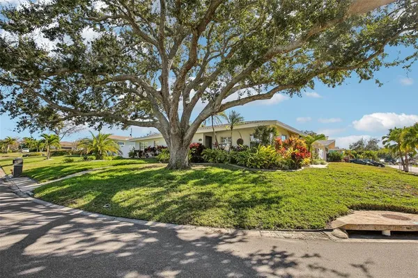 a view of a park with large trees