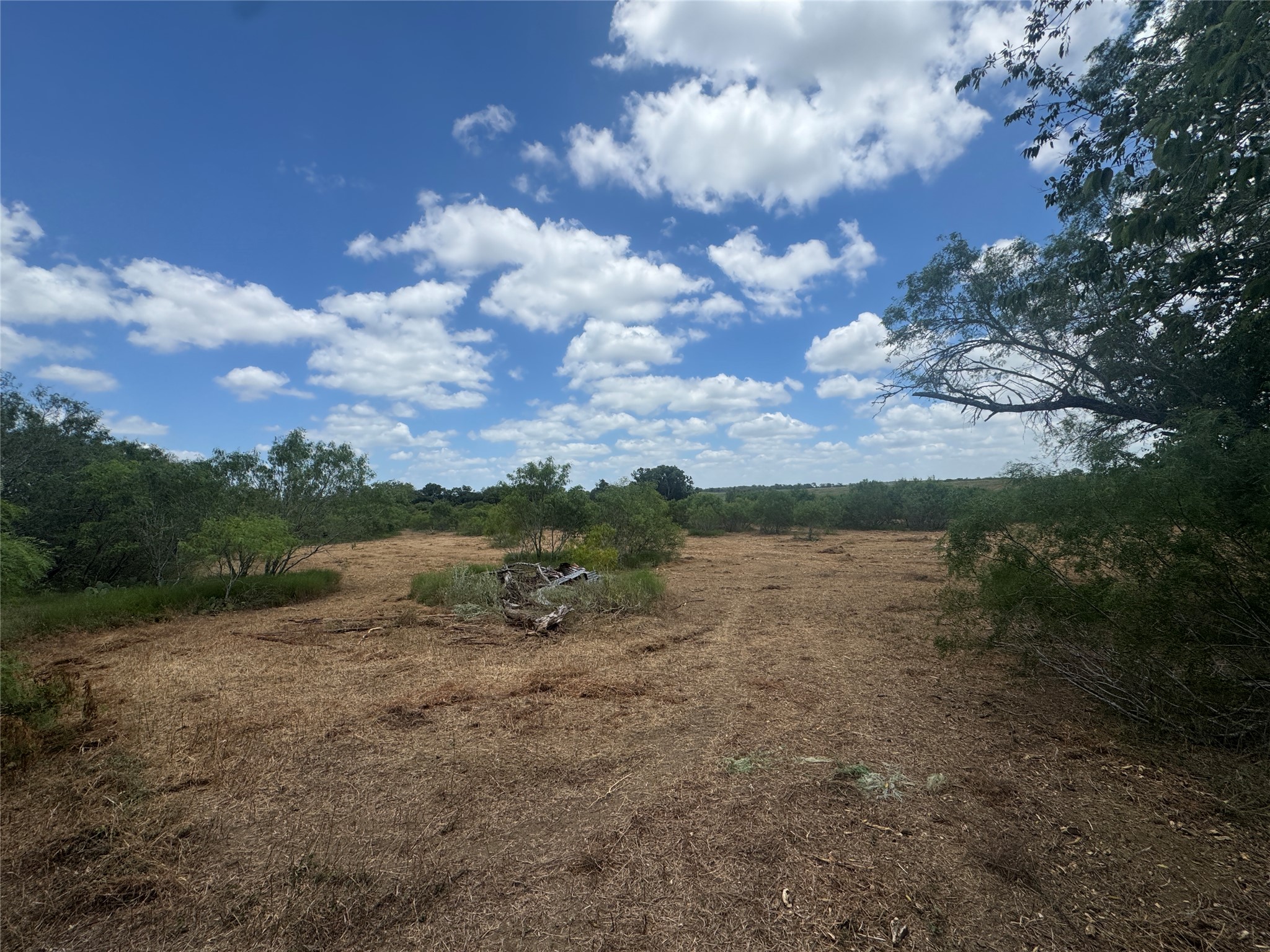 Tbd Sand Hill Road Dale, TX 78616 - Photo 6 of 9 A sprawling lot presents a blank canvas for your vision, surrounded by native flora and open skies.
