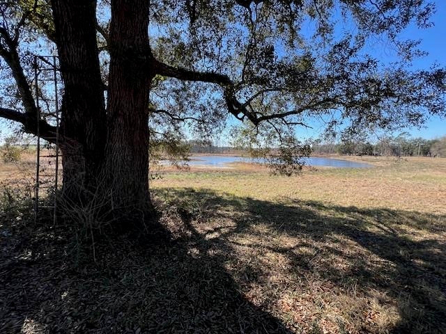 41-ac Cravey Bridge Road Opp, AL 36467 - Photo 42 of 50 Gallery Image 42