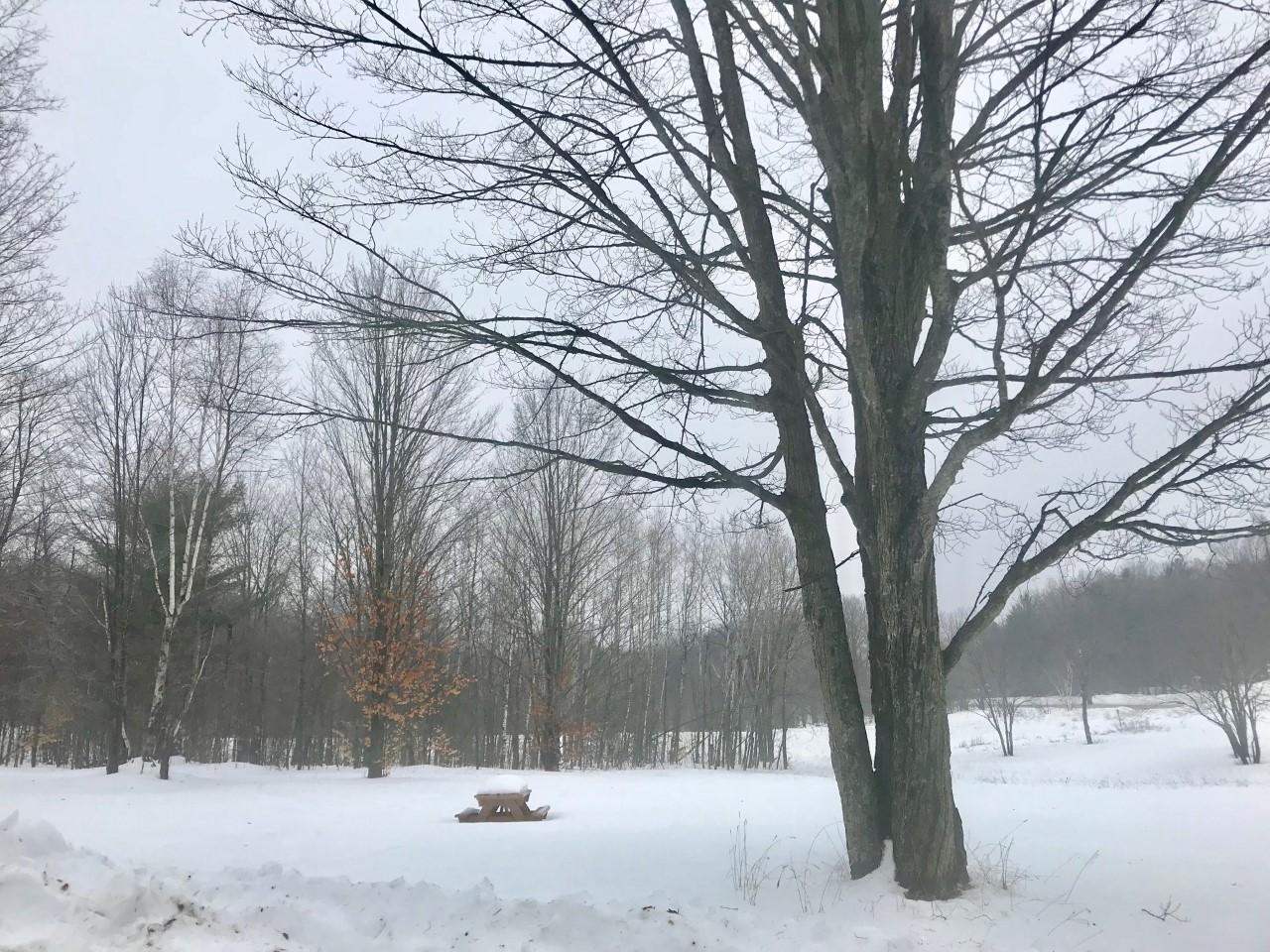 7959 North Sherman Road Frederic, MI 49733 - Photo 5 of 30 Gallery Image 5
