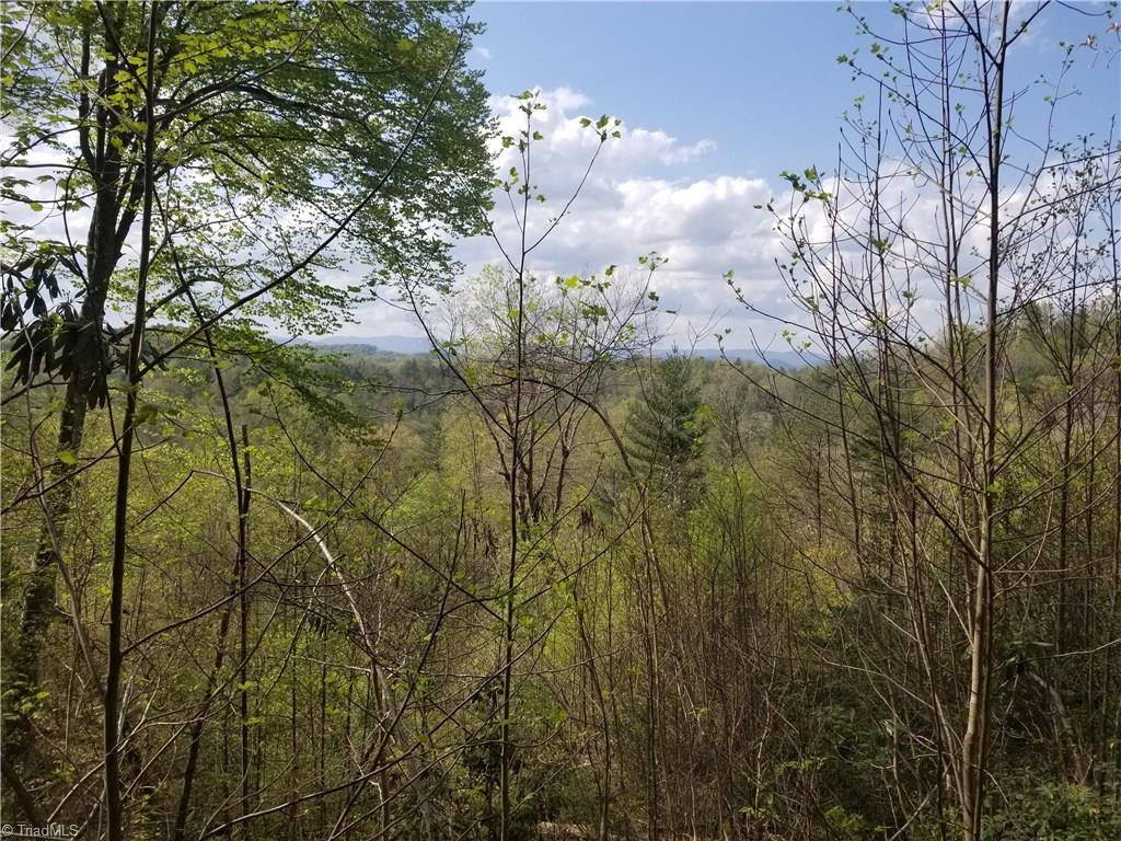 Off Boomer Road Boomer, NC 28606 - Photo 2 of 15 Gallery Image 2