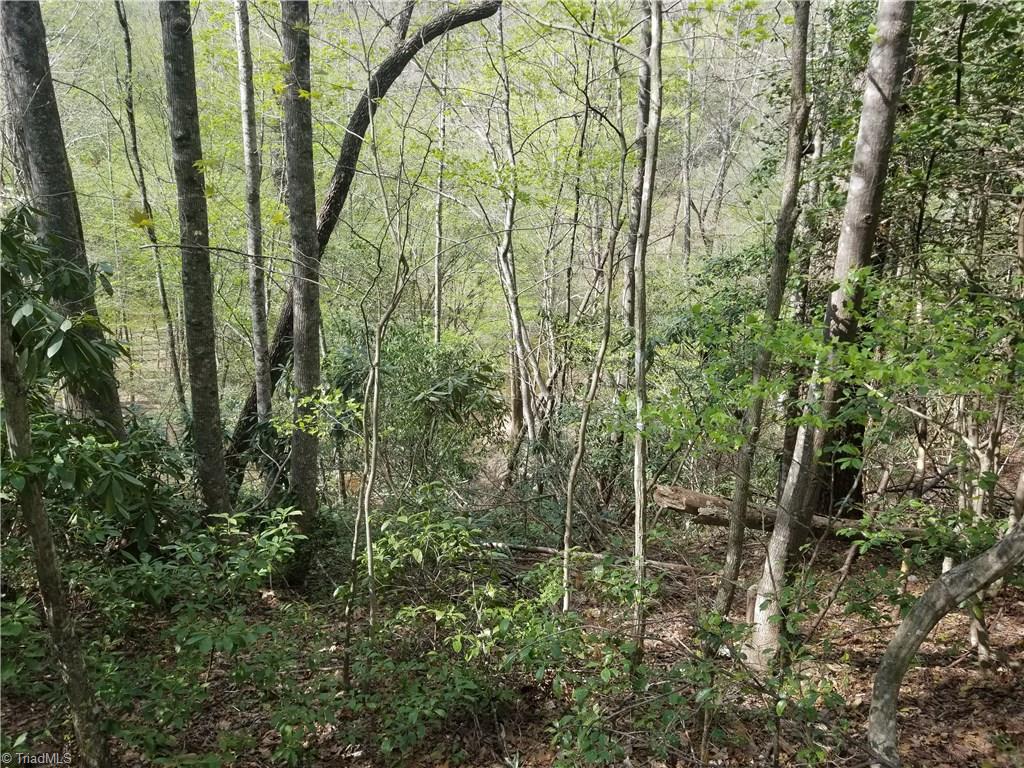 Off Boomer Road Boomer, NC 28606 - Photo 14 of 15 Gallery Image 14