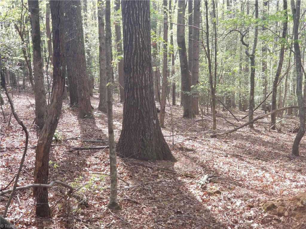 Off Boomer Road Boomer, NC 28606 - Photo 15 of 15 Gallery Image 15