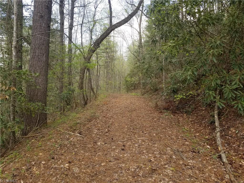 Off Boomer Road Boomer, NC 28606 - Photo 3 of 15 Gallery Image 3