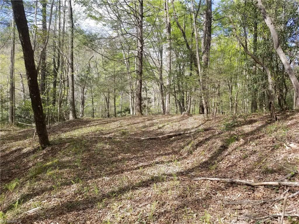 Off Boomer Road Boomer, NC 28606 - Photo 5 of 15 Gallery Image 5