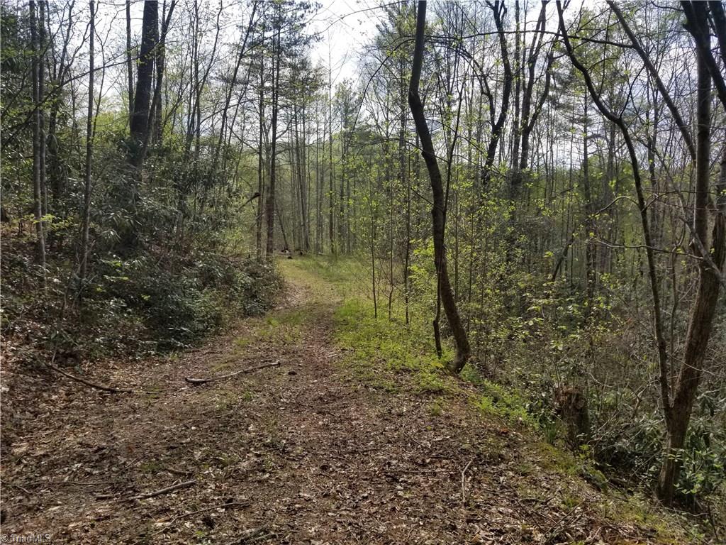 Off Boomer Road Boomer, NC 28606 - Photo 6 of 15 Gallery Image 6