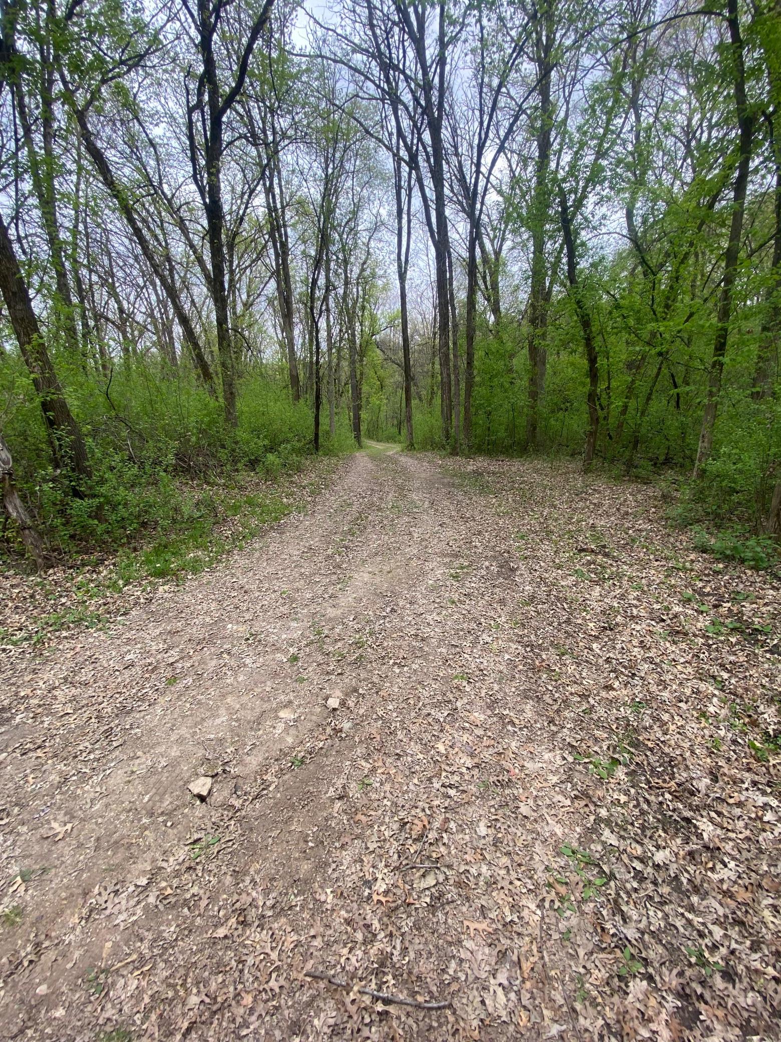 9980 Arkansas Path Inver Grove Heights, MN 55077 - Photo 8 of 21