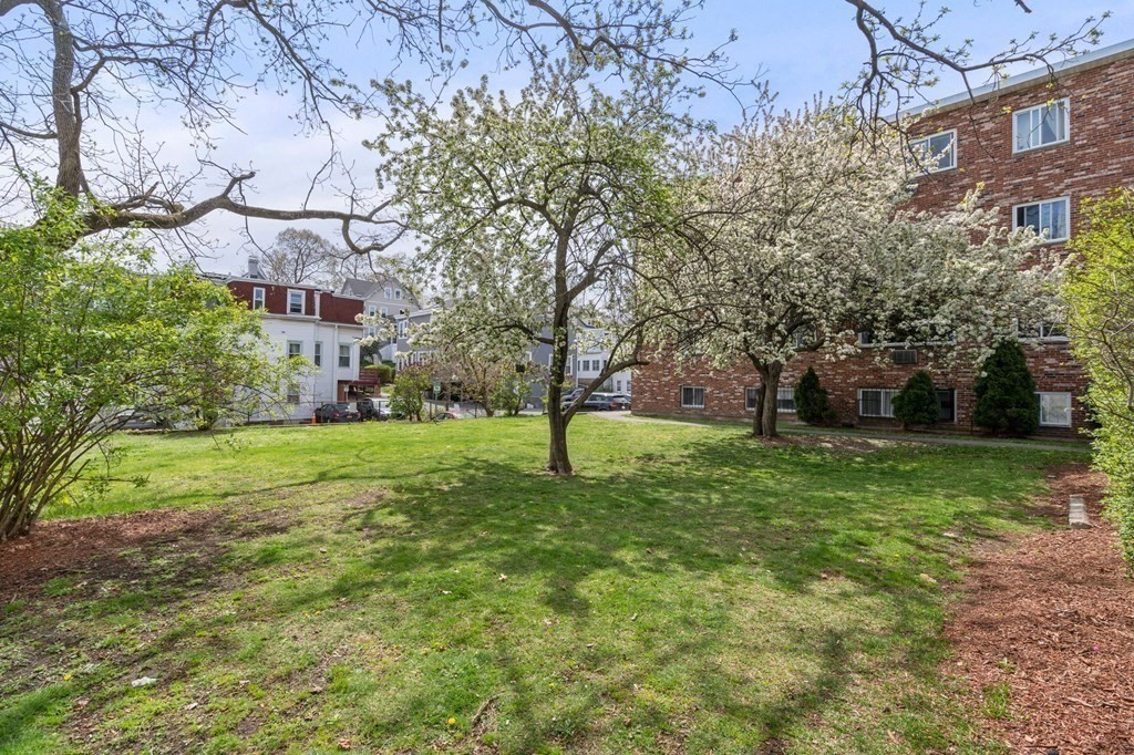 20 Radcliffe Road, Unit 304 Boston, MA 02134 - Photo 11 of 24 a view of a garden with large trees
