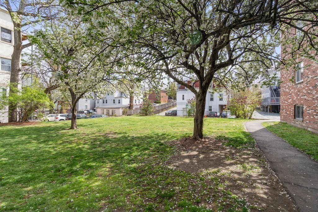 20 Radcliffe Road, Unit 304 Boston, MA 02134 - Photo 10 of 24 a tree in the middle of a garden