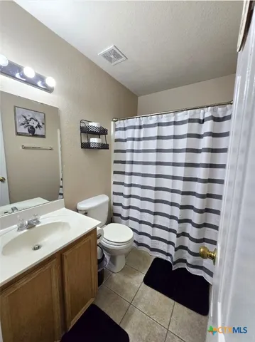 a bathroom with a sink a toilet and a shower