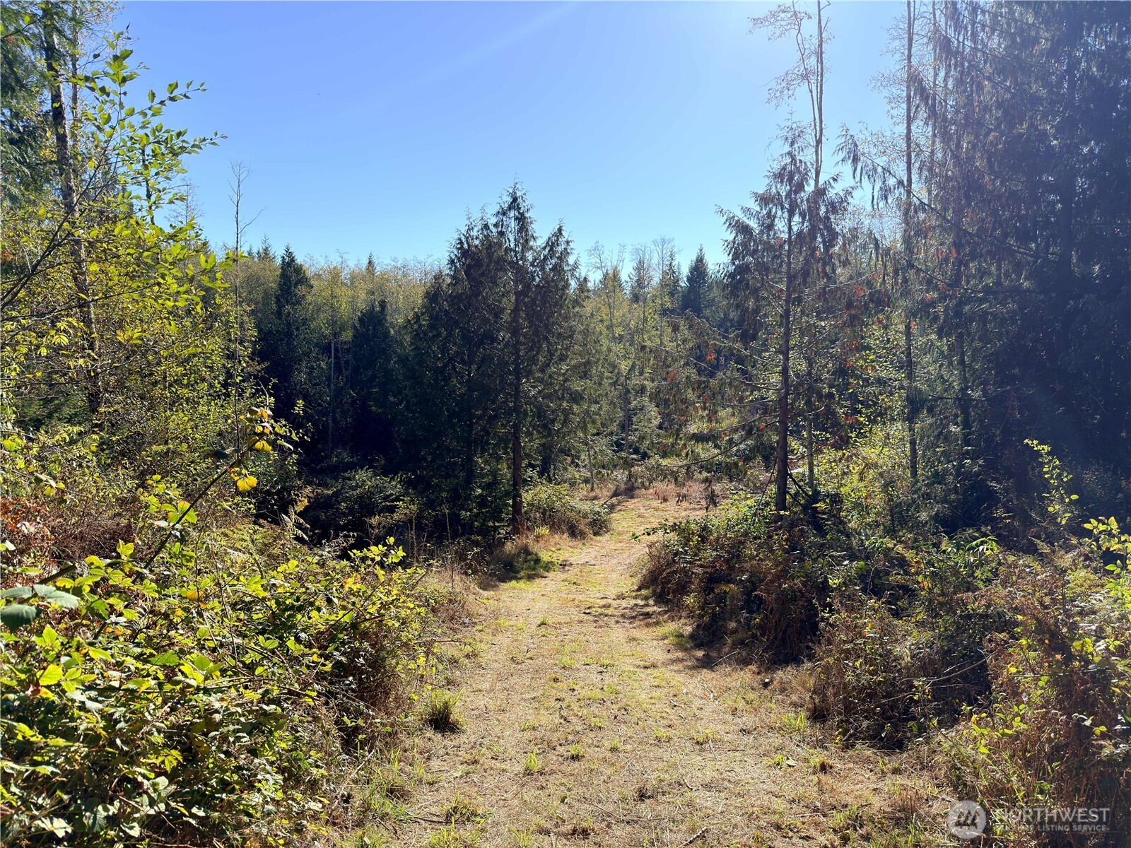 1-xxx Leland Valley Road West Quilcene, WA 98376 - Photo 1 of 13 a view of a yard with plants and trees