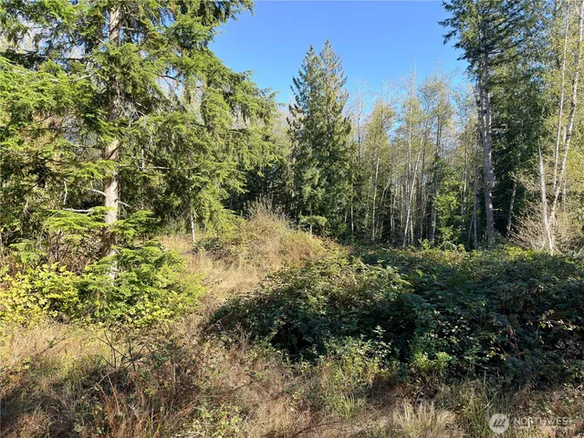 $105,000 | 1-xxx Leland Valley Road West, Quilcene, WA 98376
