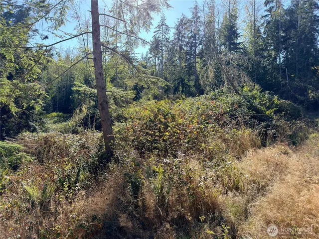 $105,000 | 1-xxx Leland Valley Road West, Quilcene, WA 98376