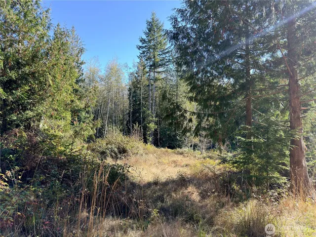 $105,000 | 1-xxx Leland Valley Road West, Quilcene, WA 98376
