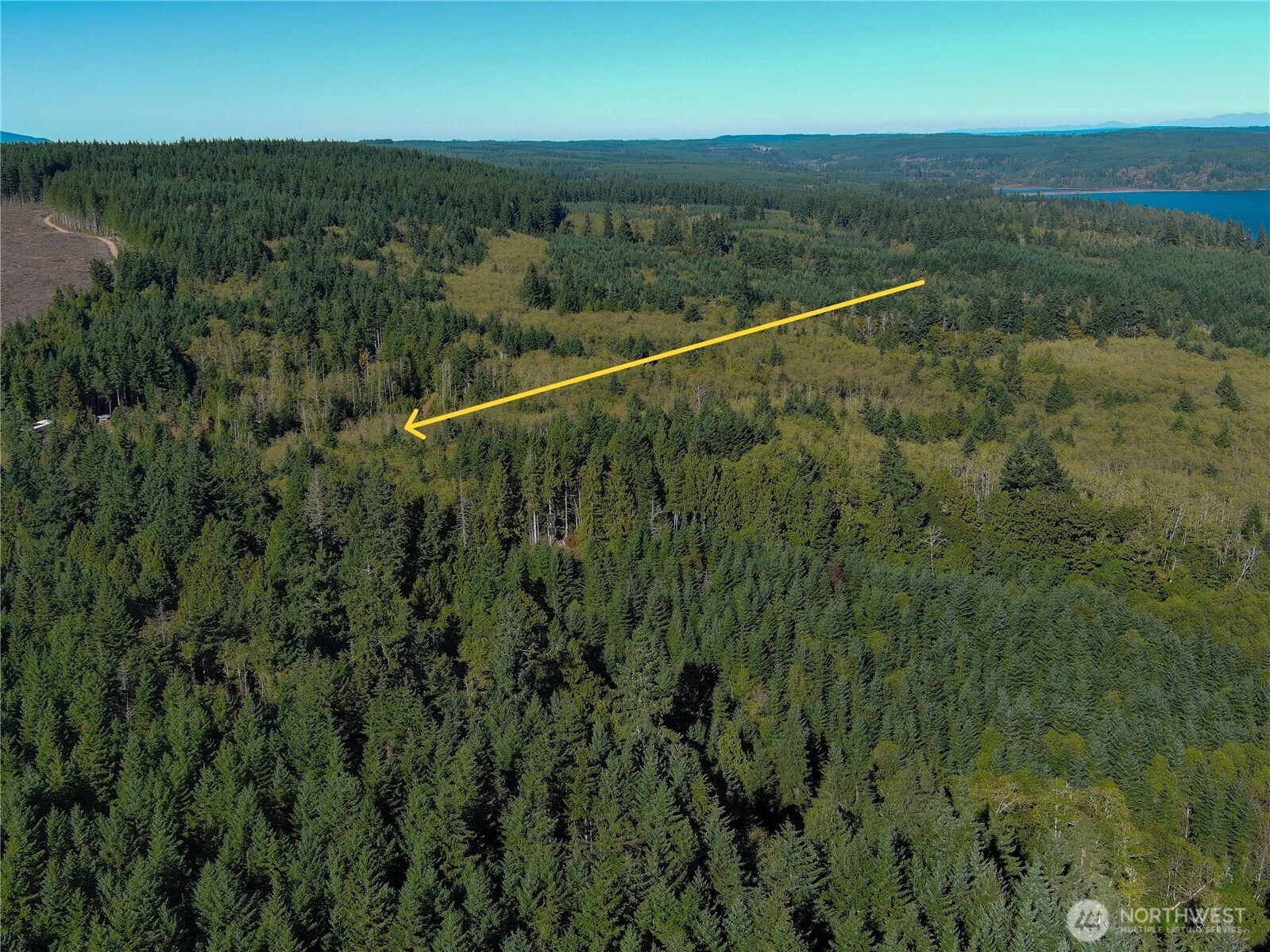 1-xxx Leland Valley Road West Quilcene, WA 98376 - Photo 7 of 13 a view of a forest with a lake