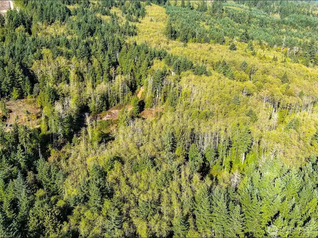 $105,000 | 1-xxx Leland Valley Road West, Quilcene, WA 98376