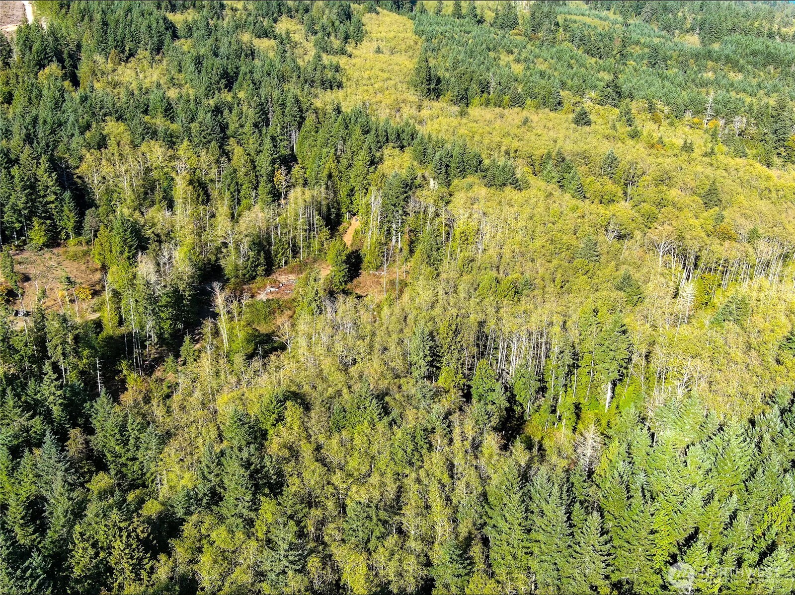 1-xxx Leland Valley Road West Quilcene, WA 98376 - Photo 10 of 13 a view of a yard
