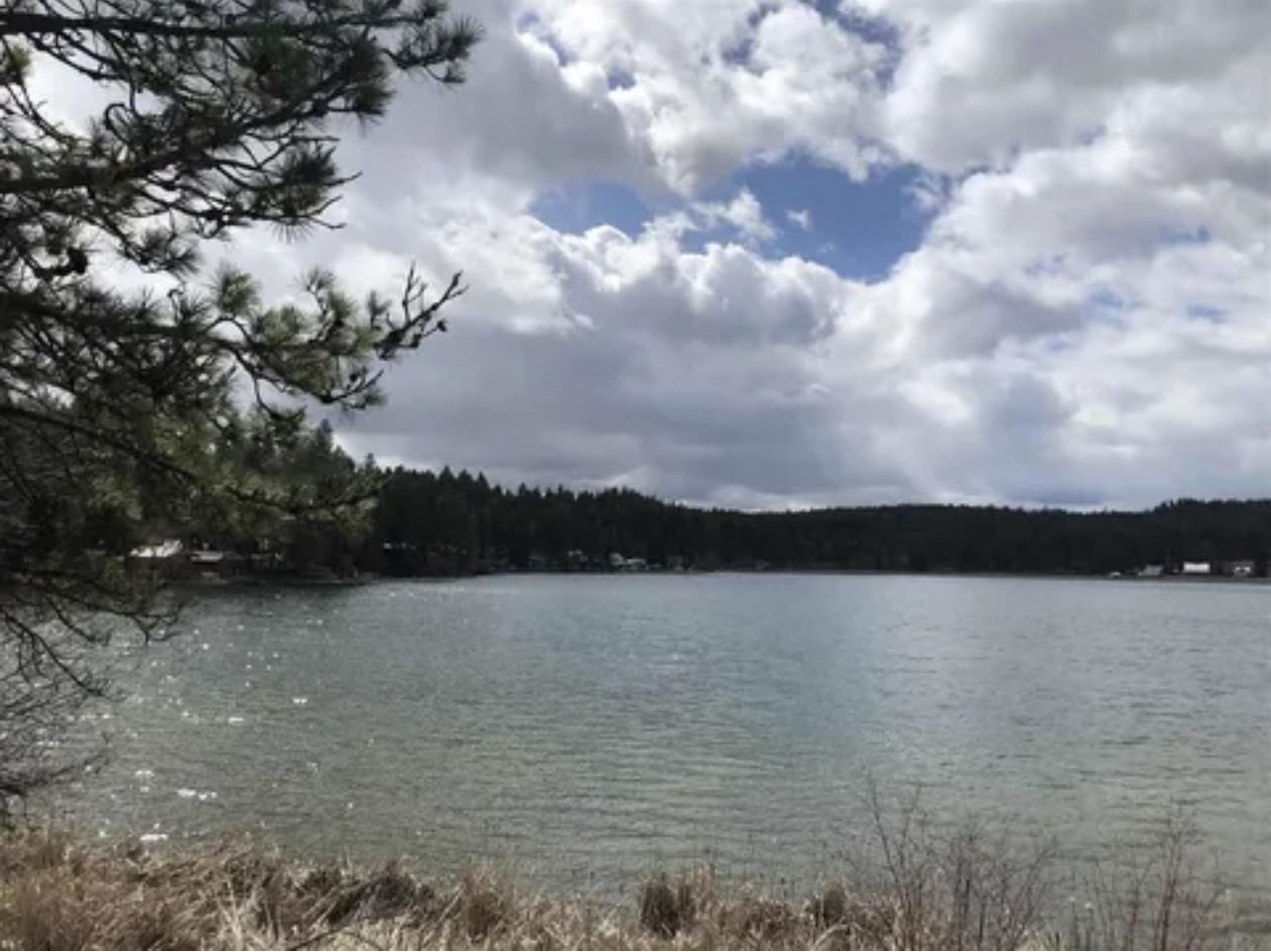 3264 Shady Court Valley, WA 99181 - Photo 13 of 20