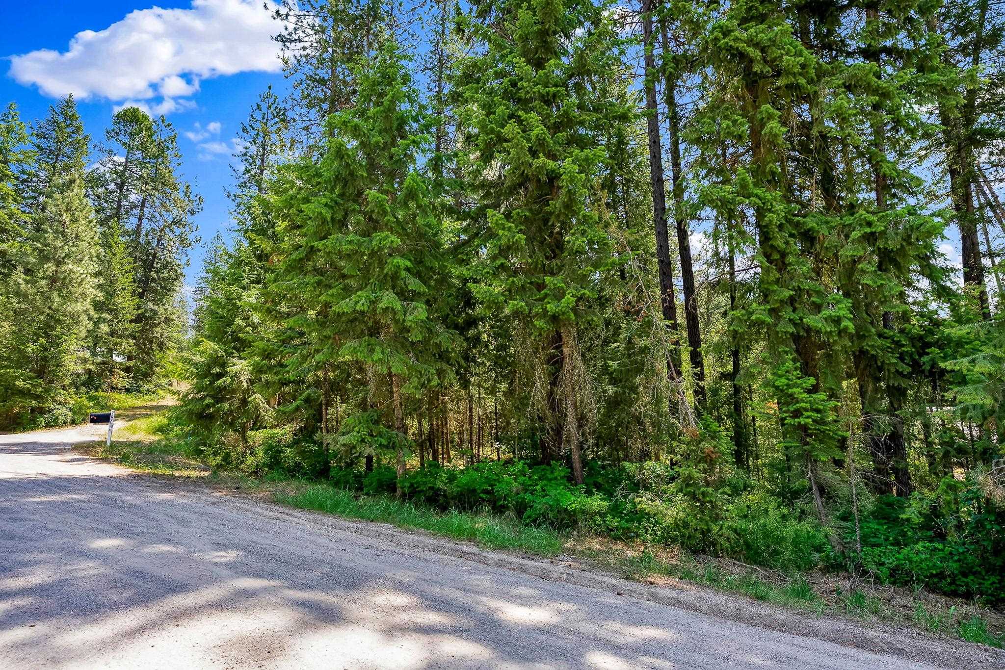 3264 Shady Court Valley, WA 99181 - Photo 3 of 20