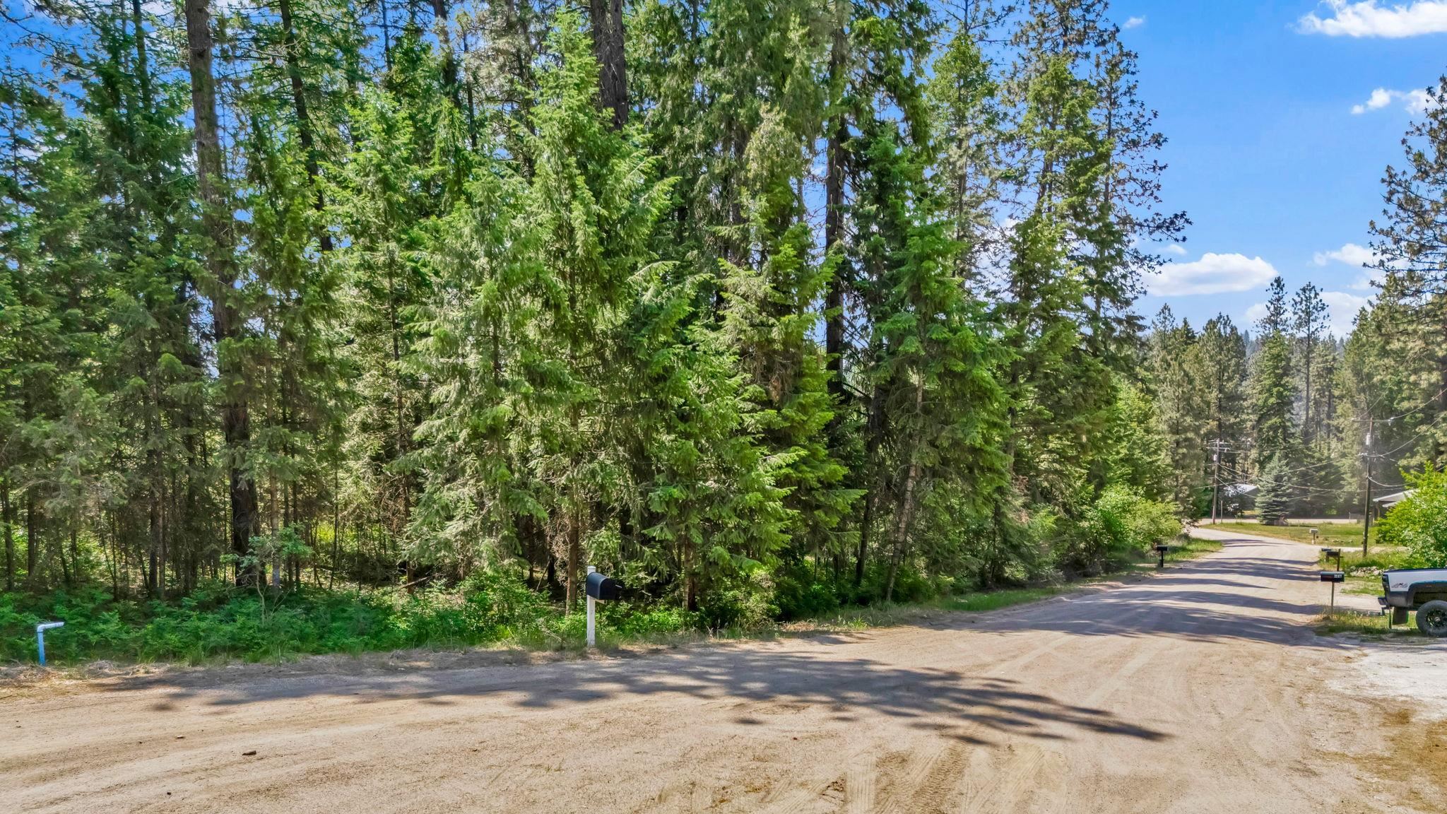 3264 Shady Court Valley, WA 99181 - Photo 4 of 20