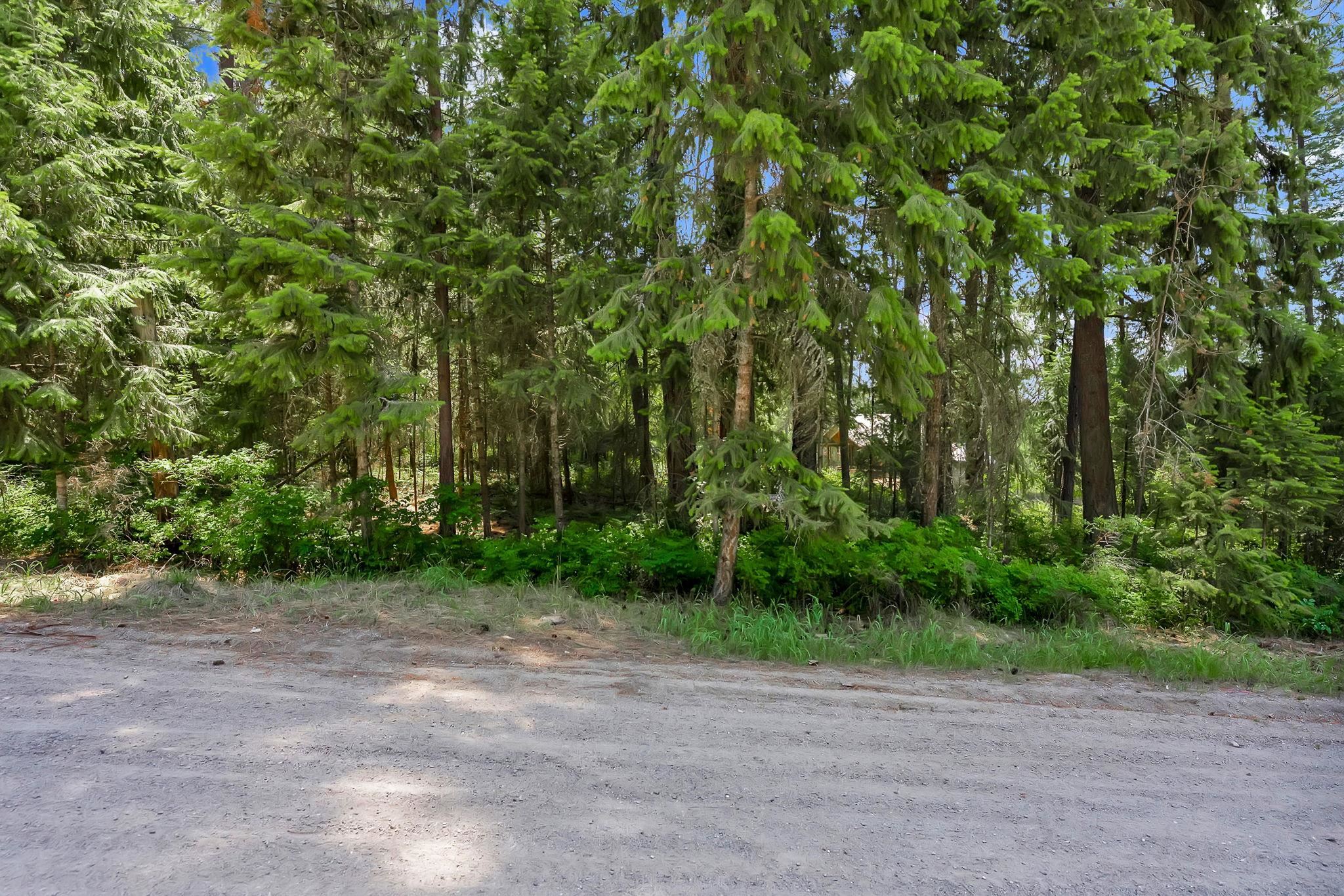 3264 Shady Court Valley, WA 99181 - Photo 5 of 20