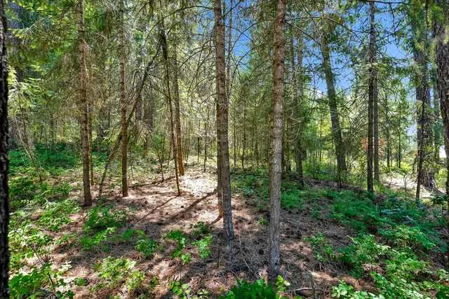 $45,000 | 3264 Shady Court, Valley, WA 99181