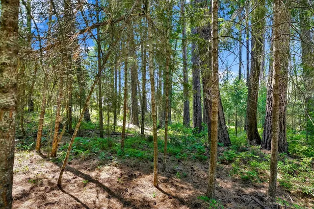 $45,000 | 3264 Shady Court, Valley, WA 99181