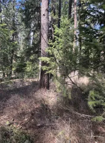 $45,000 | 3264 Shady Court, Valley, WA 99181