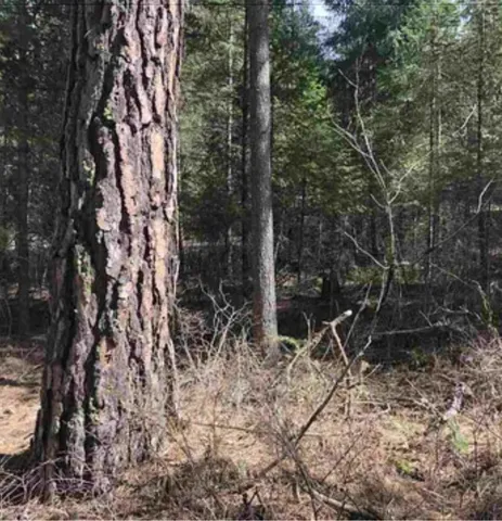 $45,000 | 3264 Shady Court, Valley, WA 99181