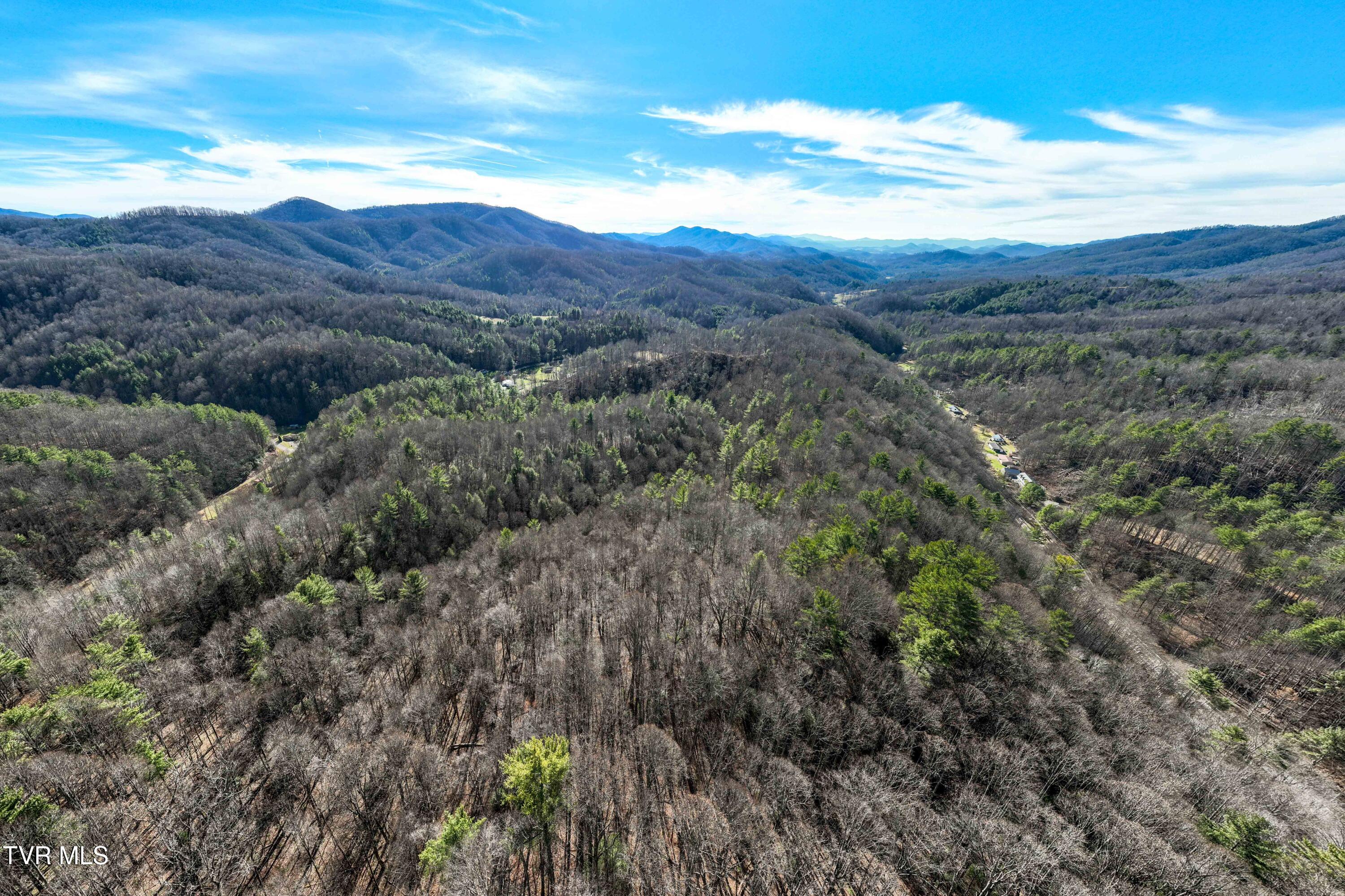Tbd Hubert Taylor Road Mountain City, TN 37683 - Photo 11 of 28 TBD Taylor Rd (10 of 28)