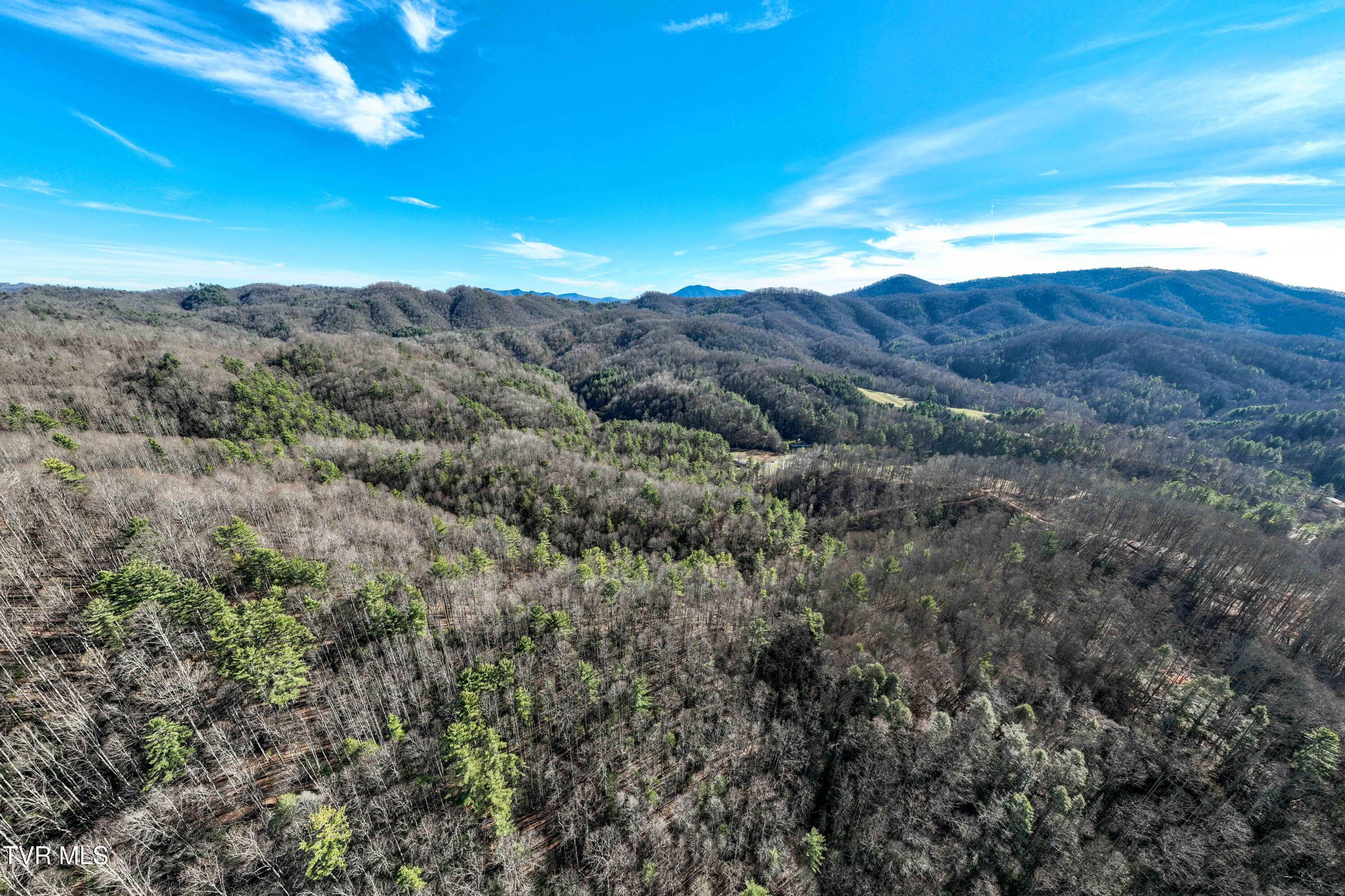 Tbd Hubert Taylor Road Mountain City, TN 37683 - Photo 12 of 28 TBD Taylor Rd (11 of 28)