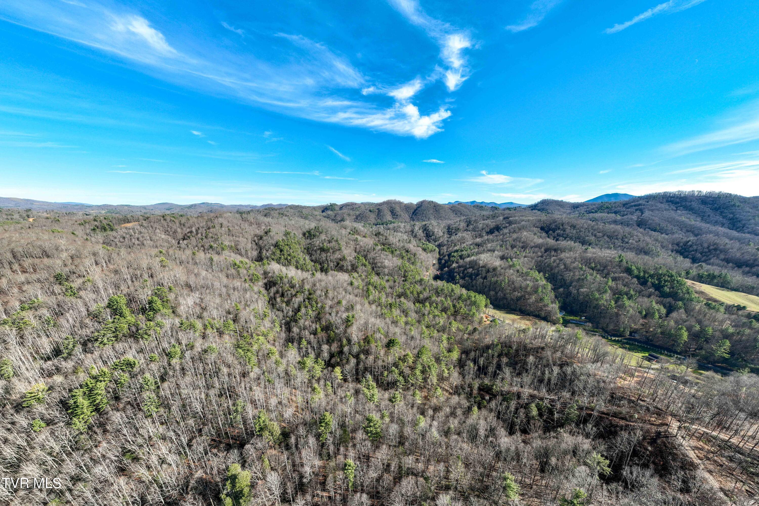 Tbd Hubert Taylor Road Mountain City, TN 37683 - Photo 13 of 28 TBD Taylor Rd (12 of 28)