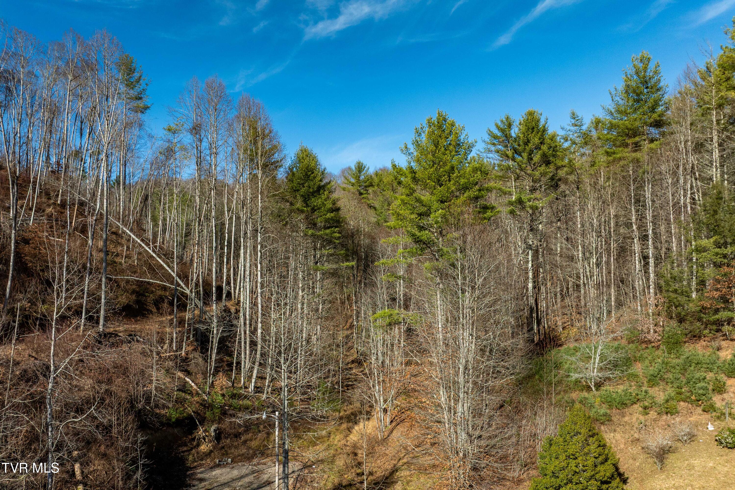 Tbd Hubert Taylor Road Mountain City, TN 37683 - Photo 17 of 28 TBD Taylor Rd (16 of 28)