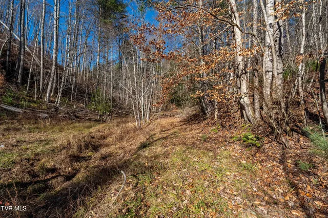 $249,900 | Tbd Hubert Taylor Road, Mountain City, TN 37683