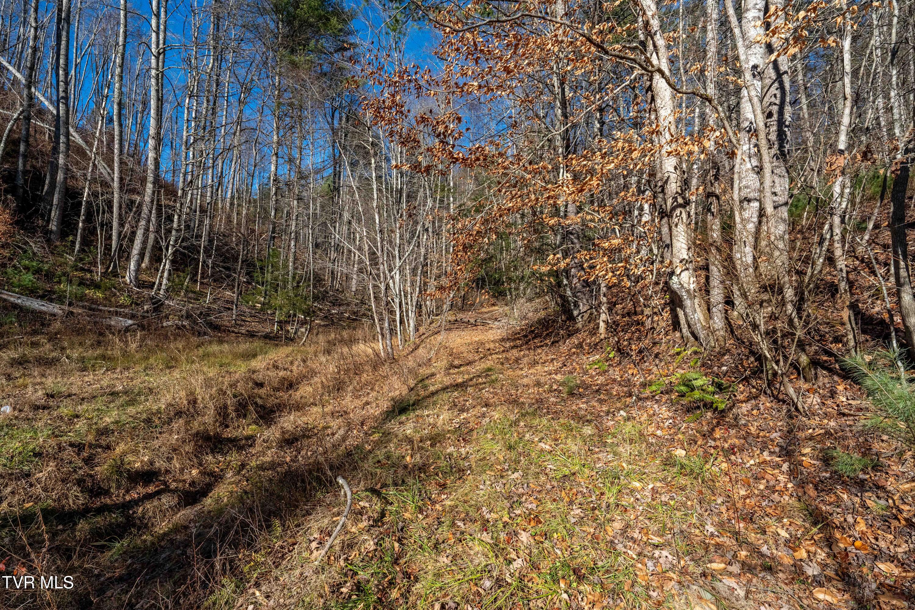 Tbd Hubert Taylor Road Mountain City, TN 37683 - Photo 24 of 28 TBD Taylor Rd (23 of 28)