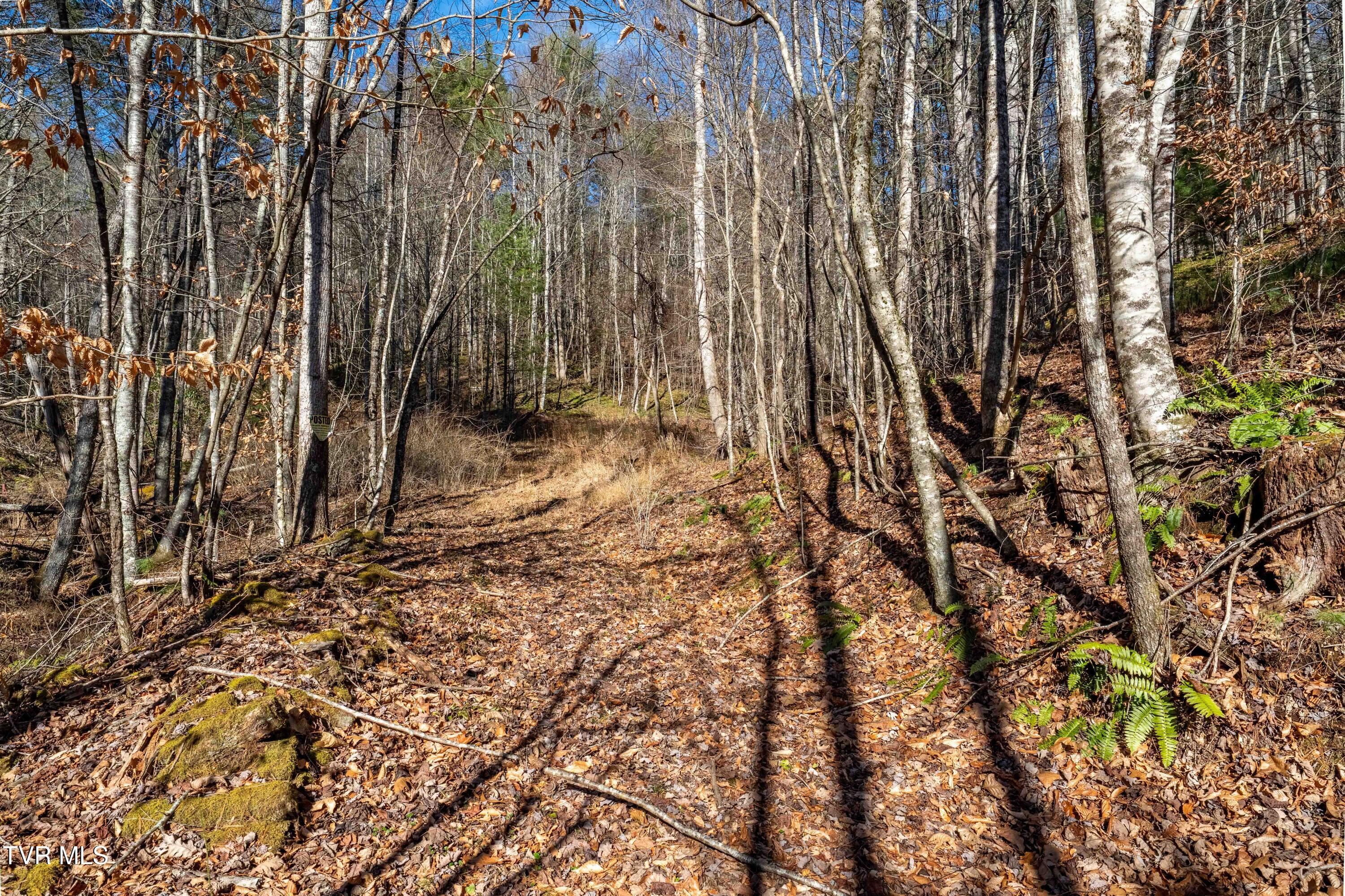 Tbd Hubert Taylor Road Mountain City, TN 37683 - Photo 25 of 28 TBD Taylor Rd (24 of 28)