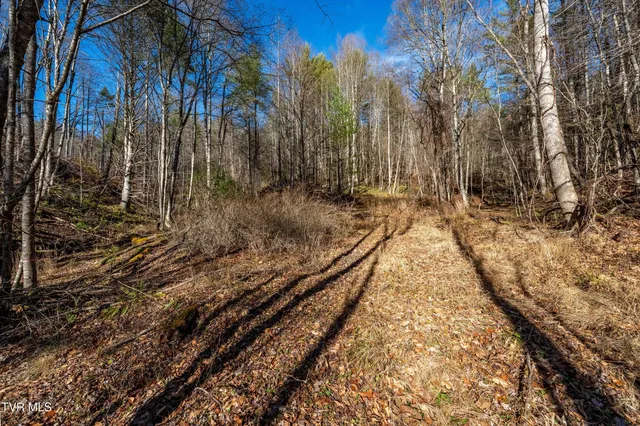 $249,900 | Tbd Hubert Taylor Road, Mountain City, TN 37683